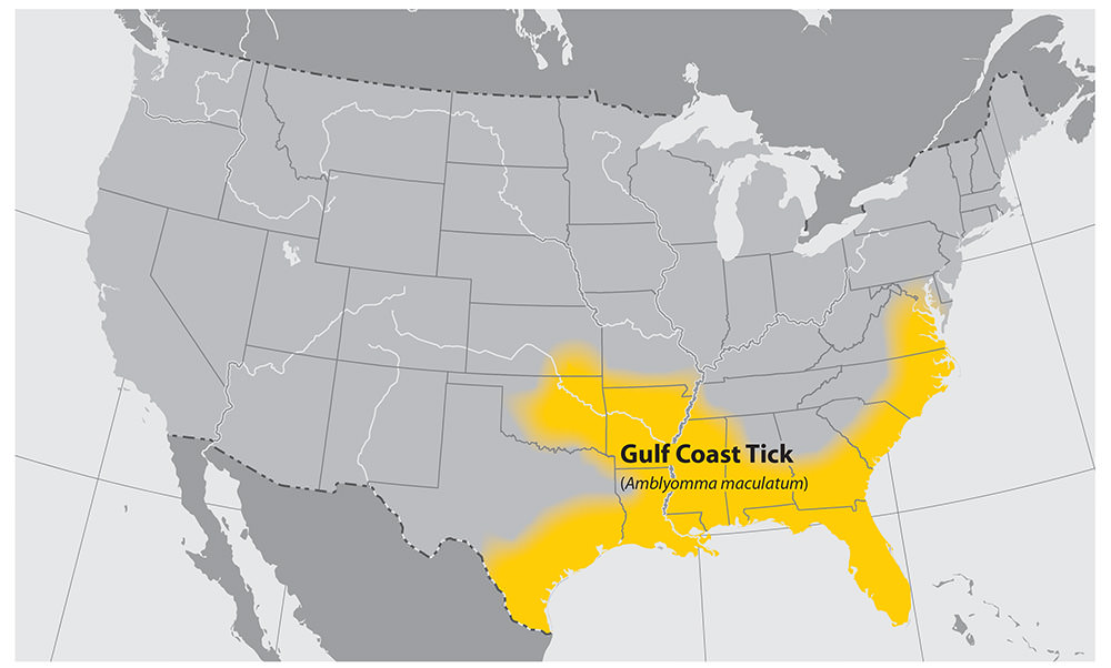 Tick Habitat Map