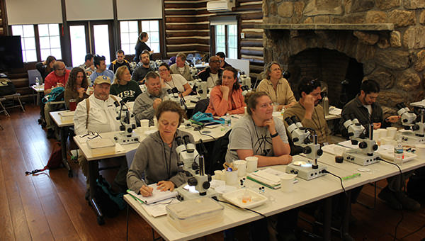 Boot camp participants using microscopes to identify specimens
