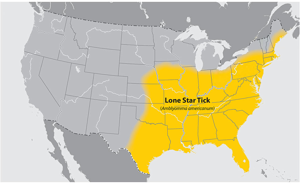 Tick Map
