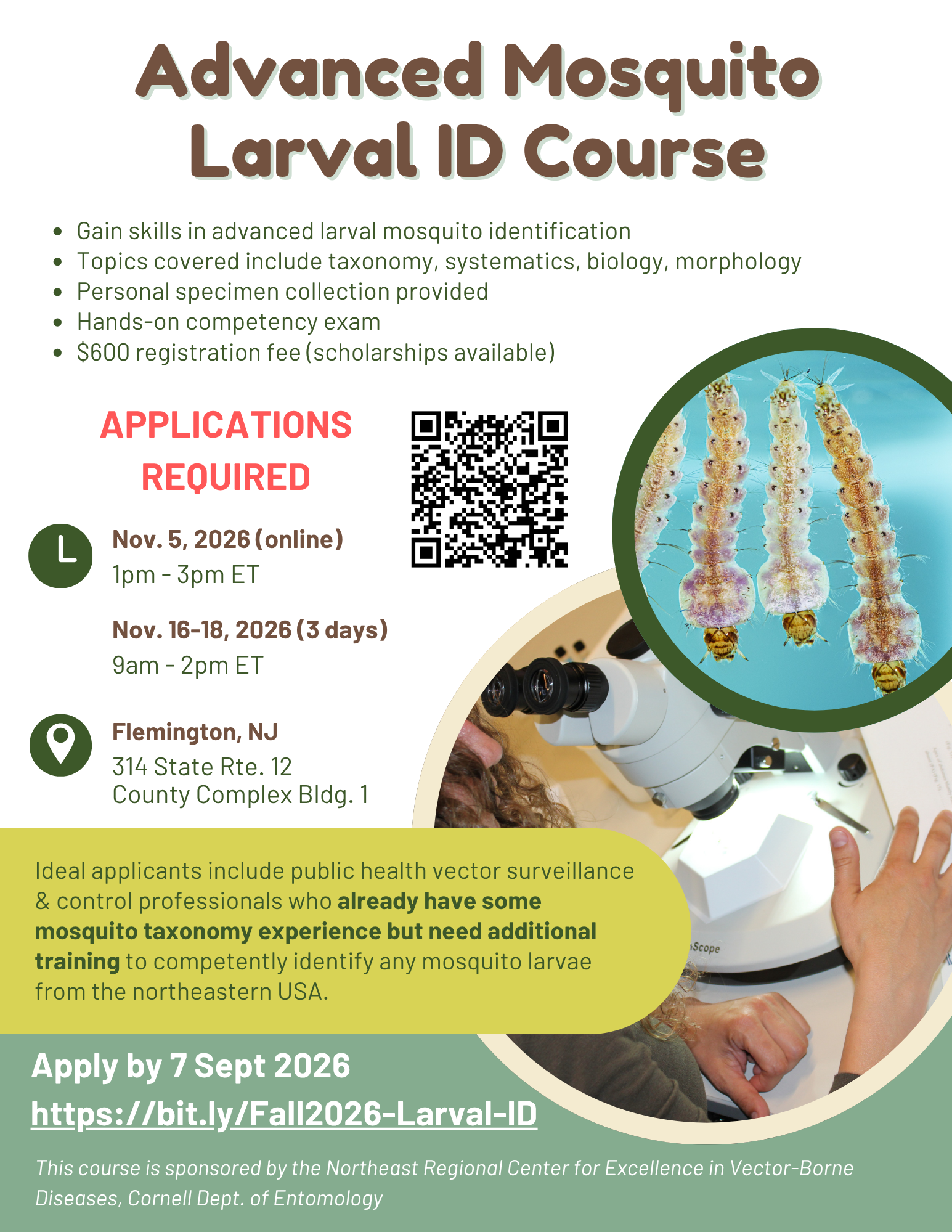 flyer for course