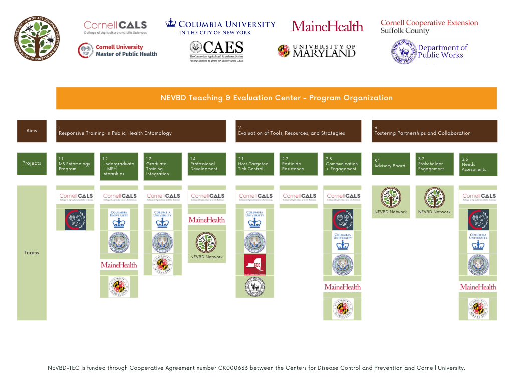 NEVBD TEC org chart (1)